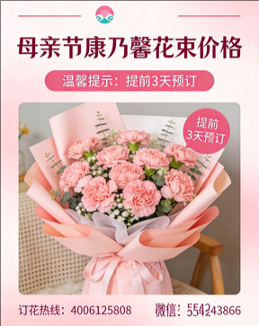 葫芦岛连山区花店母亲节康乃馨花束