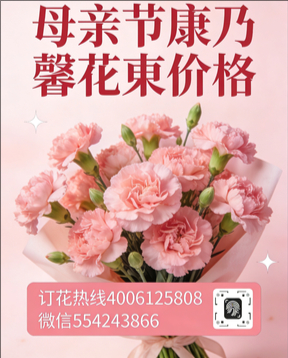 葫芦岛连山区花店母亲节康乃馨花束